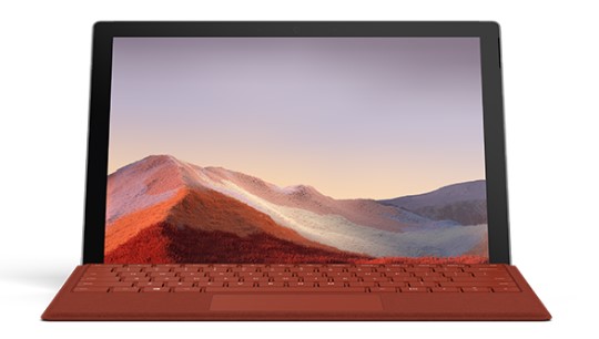 蒙城清洁和维护 Surface